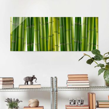Obraz na szkle - Rośliny bambusowe