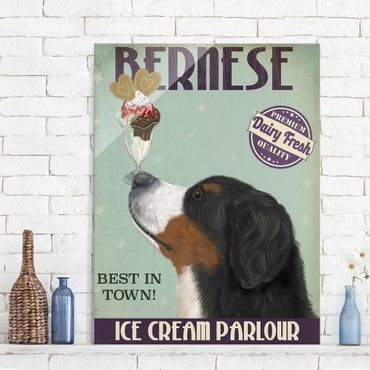Obraz na szkle - Bernese Mountain Dog z lodami