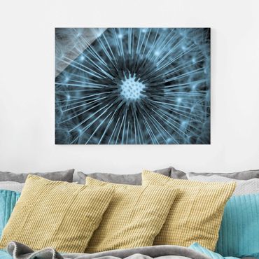 Obraz na szkle - Niebieski Tinted Dandelion