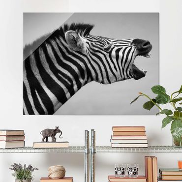 Obraz na szkle - Rycząca Zebra II