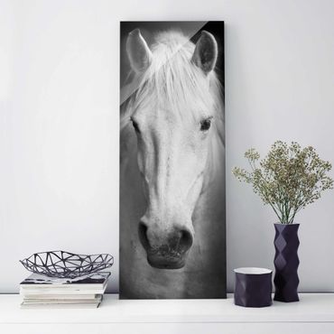 Obraz na szkle - Marzenie o koniu
