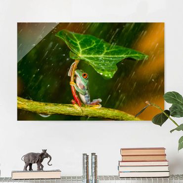 Obraz na szkle - Żaba w deszczu