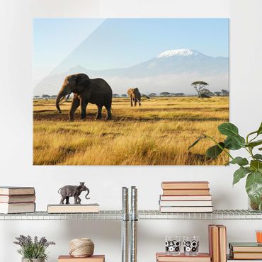 Obraz na szkle - Słonie na tle Kilimandżaro w Kenii