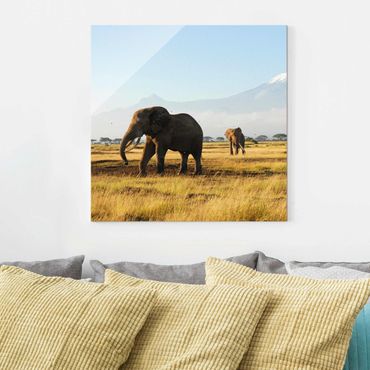 Obraz na szkle - Słonie na tle Kilimandżaro w Kenii
