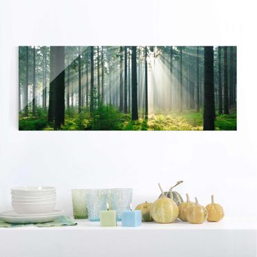 Obraz na szkle - Świetlany las