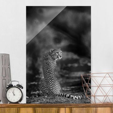 Obraz na szkle - Gepard w dzikości