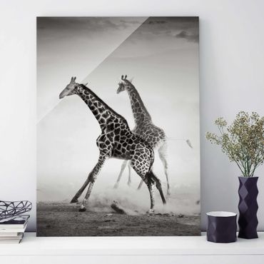 Obraz na szkle - Polowanie na żyrafę