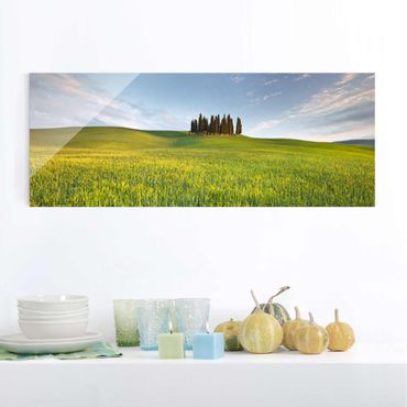 Obraz na szkle - Zielone pole w Toskanii