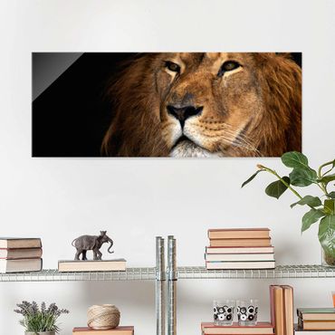 Obraz na szkle - Widok lwa