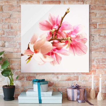 Obraz na szkle - Kwiaty magnolii