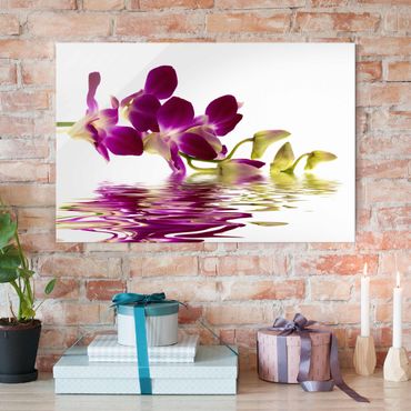 Obraz na szkle - Wody różowej orchidei