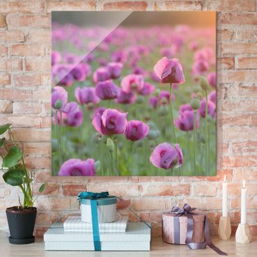 Obraz na szkle - Fioletowa łąka z makiem opium wiosną