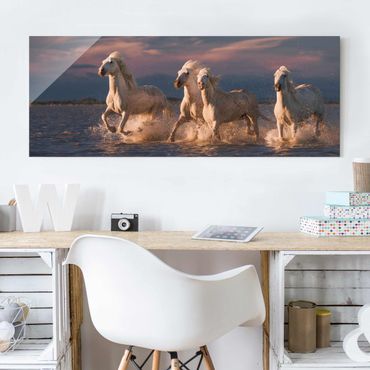 Obraz na szkle - Dzikie konie w Camargue