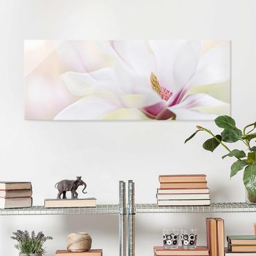 Obraz na szkle - Czuły kwiat magnolii