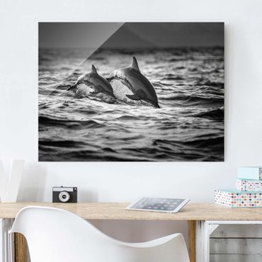 Obraz na szkle - Dwa skaczące delfiny