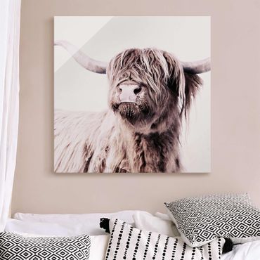 Obraz na szkle - Highland Cattle Frida w kolorze beżowym