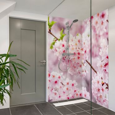 Tylna ścianka prysznicowa - Japanese Cherry Blossoms