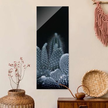 Obraz na szkle - Rodzina kaktusów w nocy