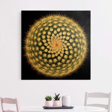 Obraz na płótnie - Kwiat kaktusa