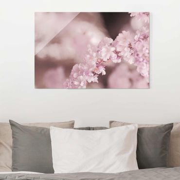 Obraz na szkle - Kwiat wiśni w fioletowym świetle