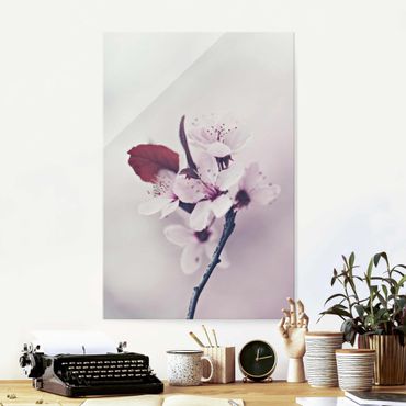 Obraz na szkle - Gałązka kwiatu wiśni staroróżowa