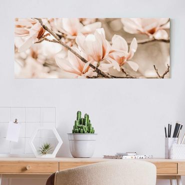 Obraz na szkle - Gałązki magnolii w stylu vintage