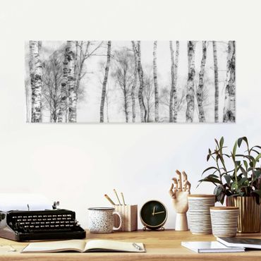Obraz na szkle - Mistyczny las brzozowy czarno-biały