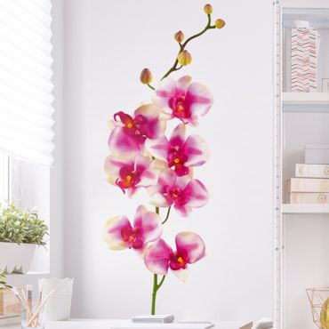 Naklejka na ścianę - Nr 176 Orchidea różowa I