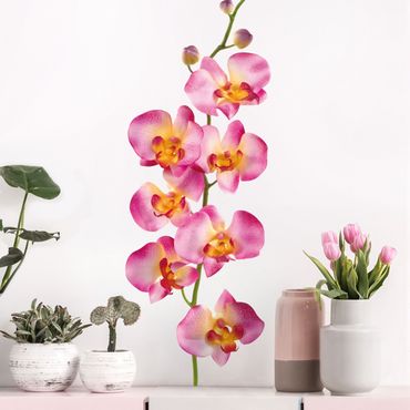 Naklejka na ścianę - Nr 177 Orchidea różowa II