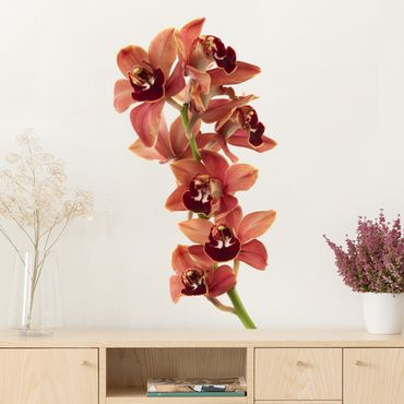Naklejka na ścianę - Nr 180 Czerwień orchidei II