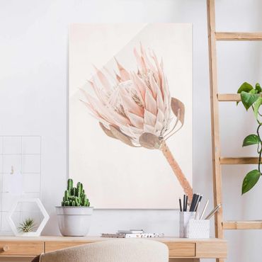 Obraz na szkle - Protea Królowa kwiatów