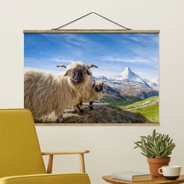 Plakat z wieszakiem - Czarnonose owce z Zermatt