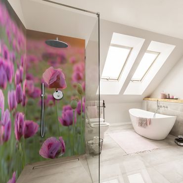 Tylna ścianka prysznicowa - Purple Poppy Flower Meadow In Spring