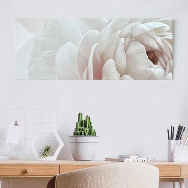 Obraz na szkle - Biały kwiat w morzu kwiatów