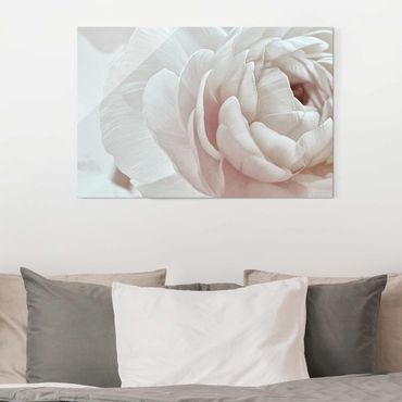 Obraz na szkle - Biały kwiat w morzu kwiatów