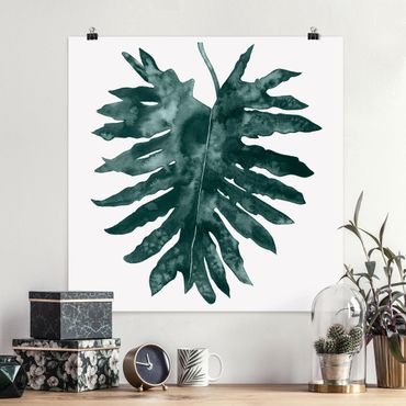 Plakat - Smaragd zielony Philodendron Bipinnatifidum