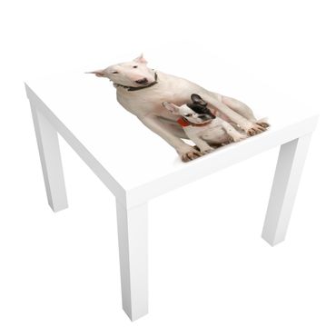 Okleina meblowa IKEA - Lack stolik kawowy - Nr 365 Bull Terrier i przyjaciel