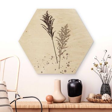 Obraz heksagonalny z drewna - Akwarela botaniczna - Kostrzewa trzcinowa