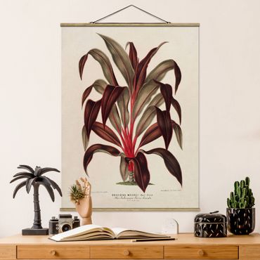 Plakat z wieszakiem - Botanika Vintage Ilustracja smoka drzewa