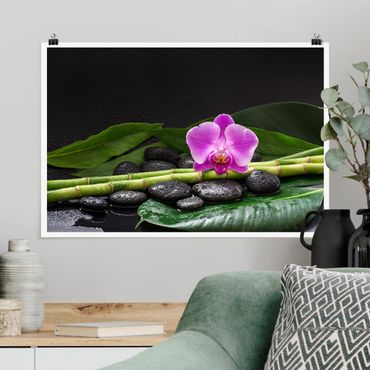 Plakat - Zielony bambus z kwiatem orchidei