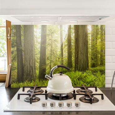 Panel szklany do kuchni - Redwood State Park Forest widok na las