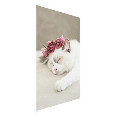 Obraz Alu-Dibond - Śpiący kot z różami