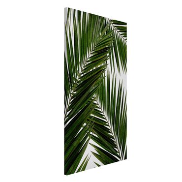 Tablica magnetyczna - Widok przez zielone liście palmy