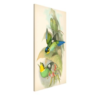 Tablica magnetyczna - Ilustracja w stylu vintage - ptaki tropikalne