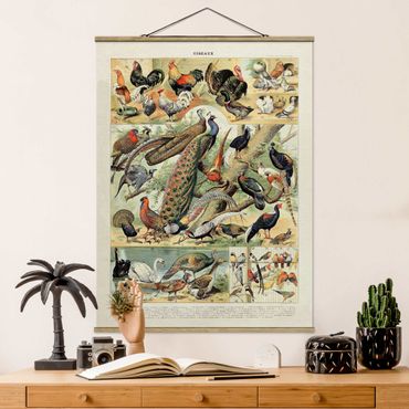 Plakat z wieszakiem - Tablica edukacyjna w stylu vintage Ptaki europejskie