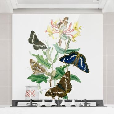 Panel szklany do kuchni - Motyle brytyjskie IV