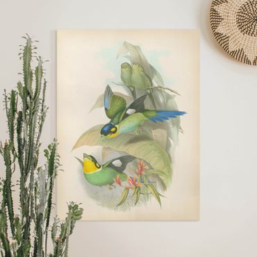 Obraz na płótnie - Ilustracja w stylu vintage - ptaki tropikalne