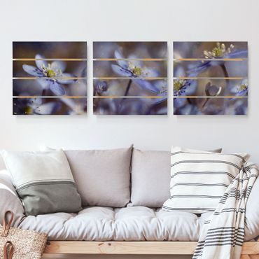 Obraz z drewna 3-częściowy - Anemony w kolorze niebieskim