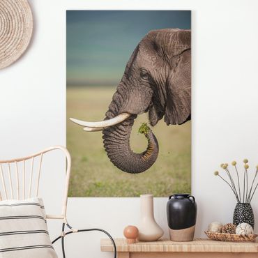 Obraz na płótnie - Karmienie słoni w Afryce