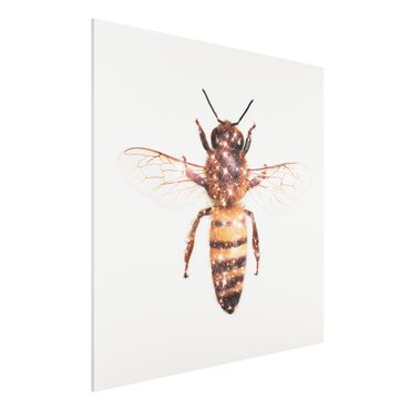 Obraz Forex - pszczoła z brokatem